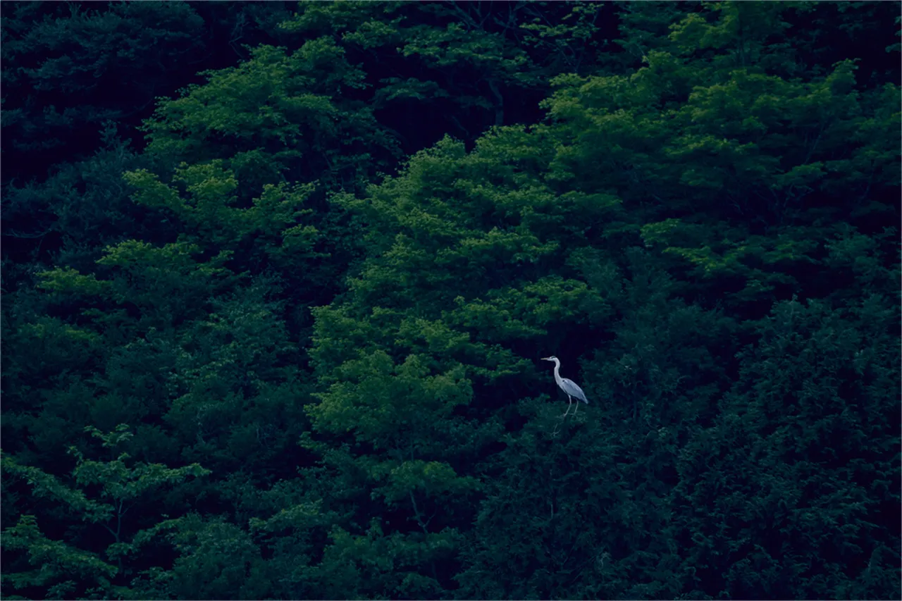 ESPACIO The Hakone Geihinkan Rin Poh Ki Ryu, Hakone