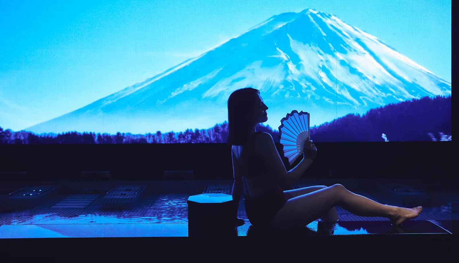 Hotel Indigo Hakone Gora, Hakone
