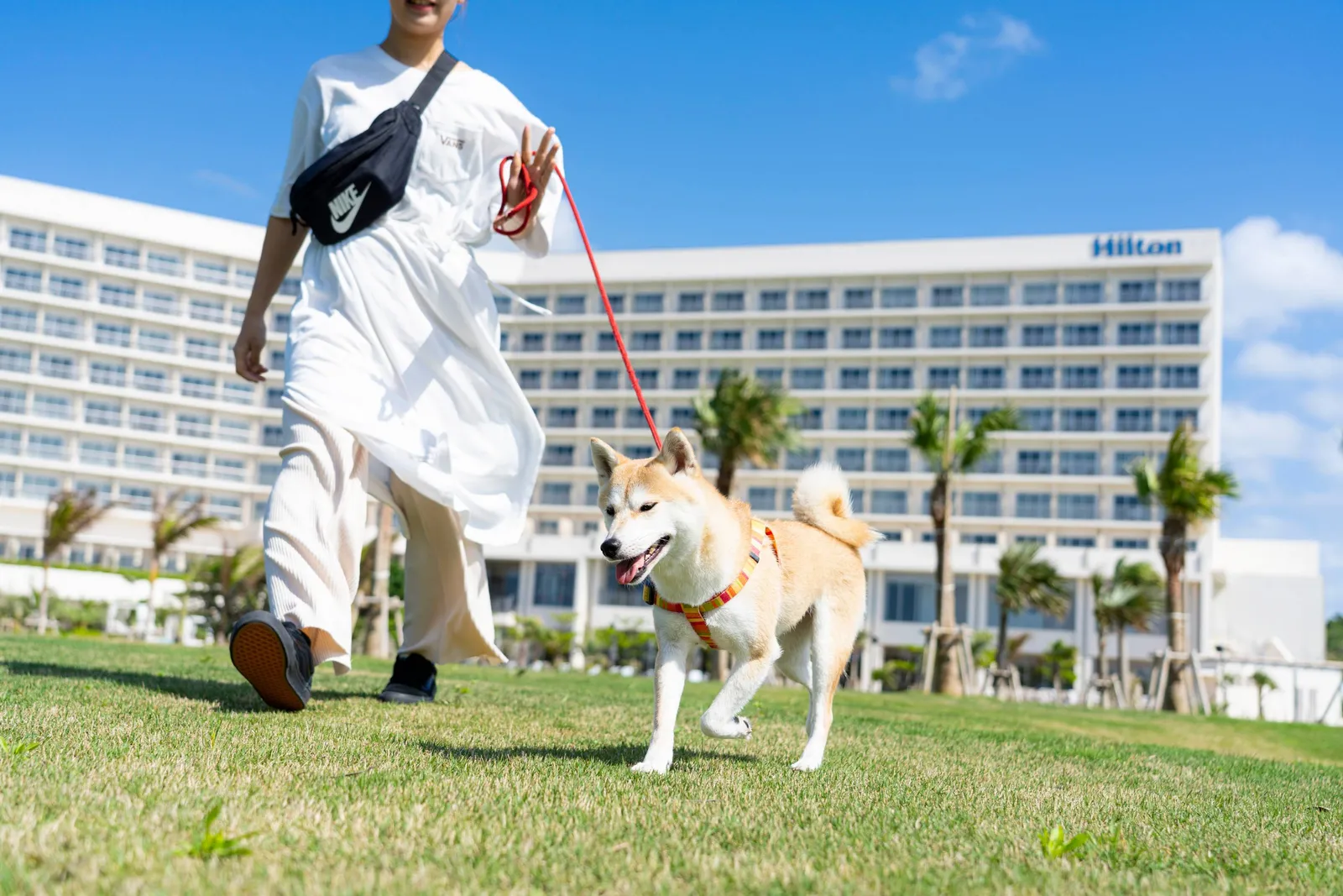 Hilton Okinawa Sesoko Resort — Exterior, Okinawa