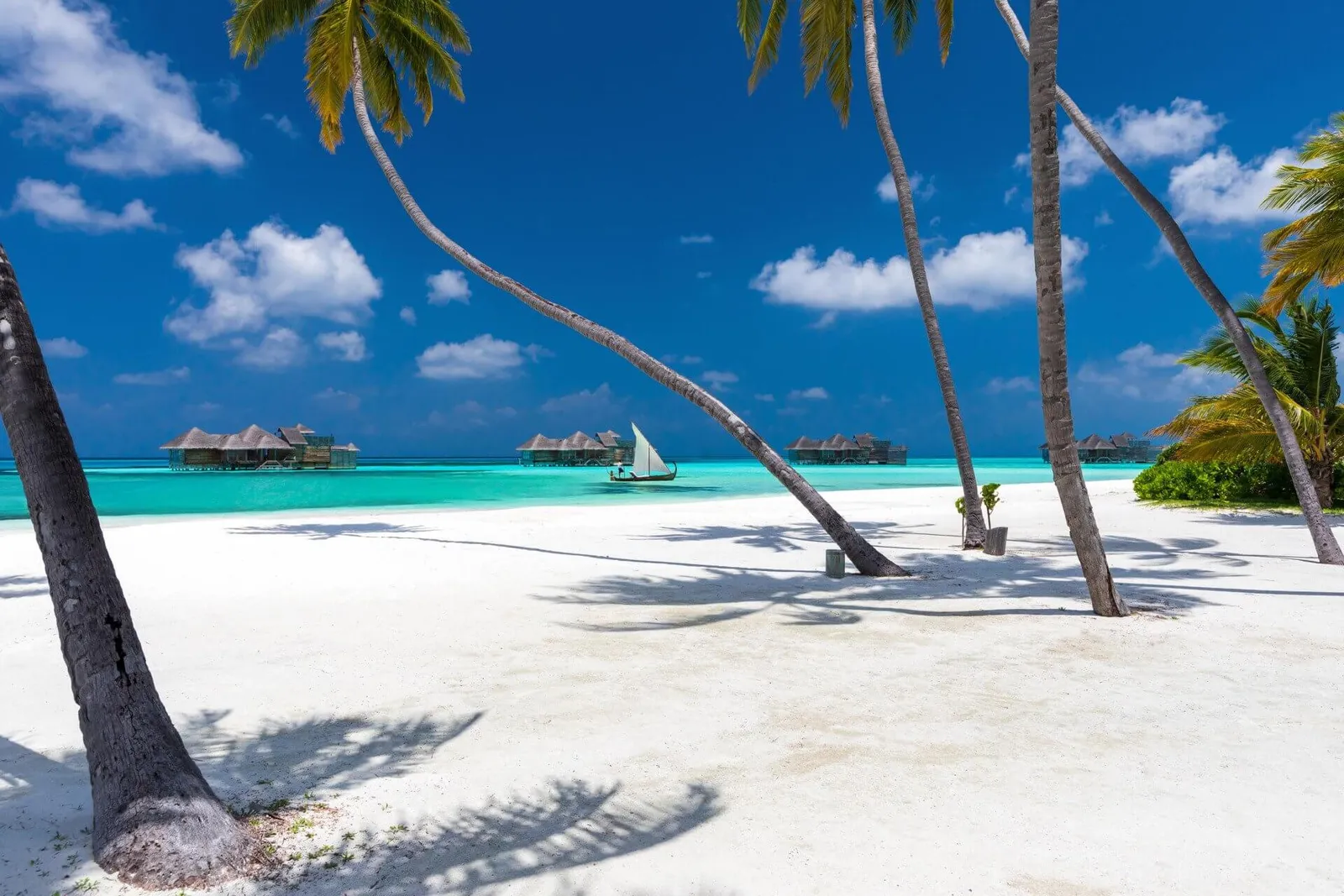 Gili Lankanfushi, Maldives, Lankanfushi Island