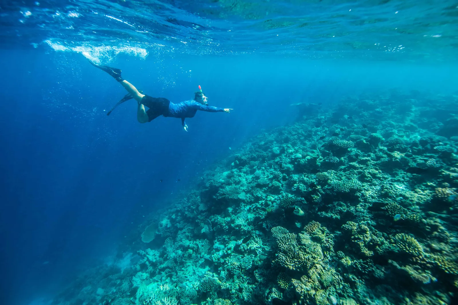 Gili Lankanfushi, Maldives, Lankanfushi Island
