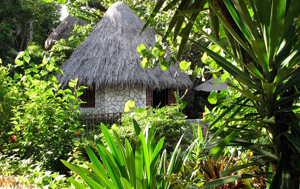Tensing Pen, Negril