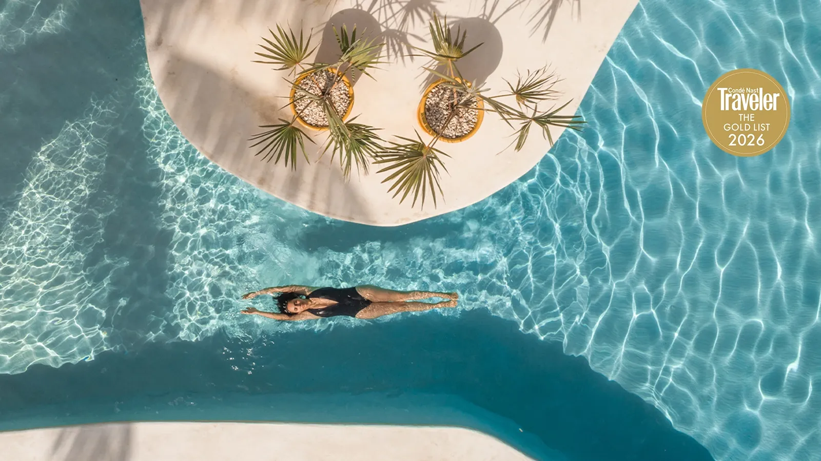 Ser Casasandra, Holbox