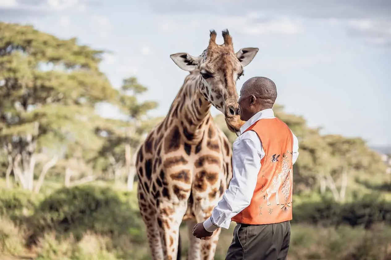 Giraffe Manor, Nairobi