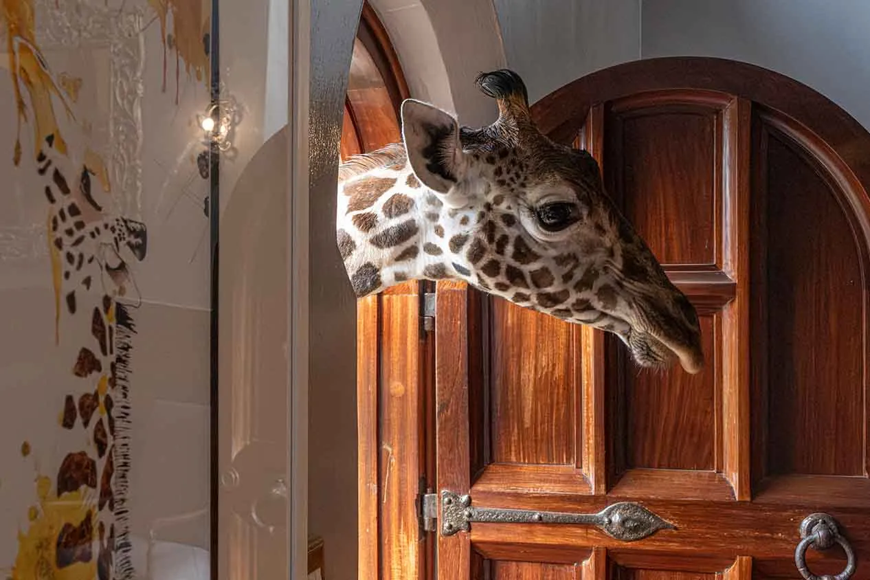 Giraffe Manor, Nairobi