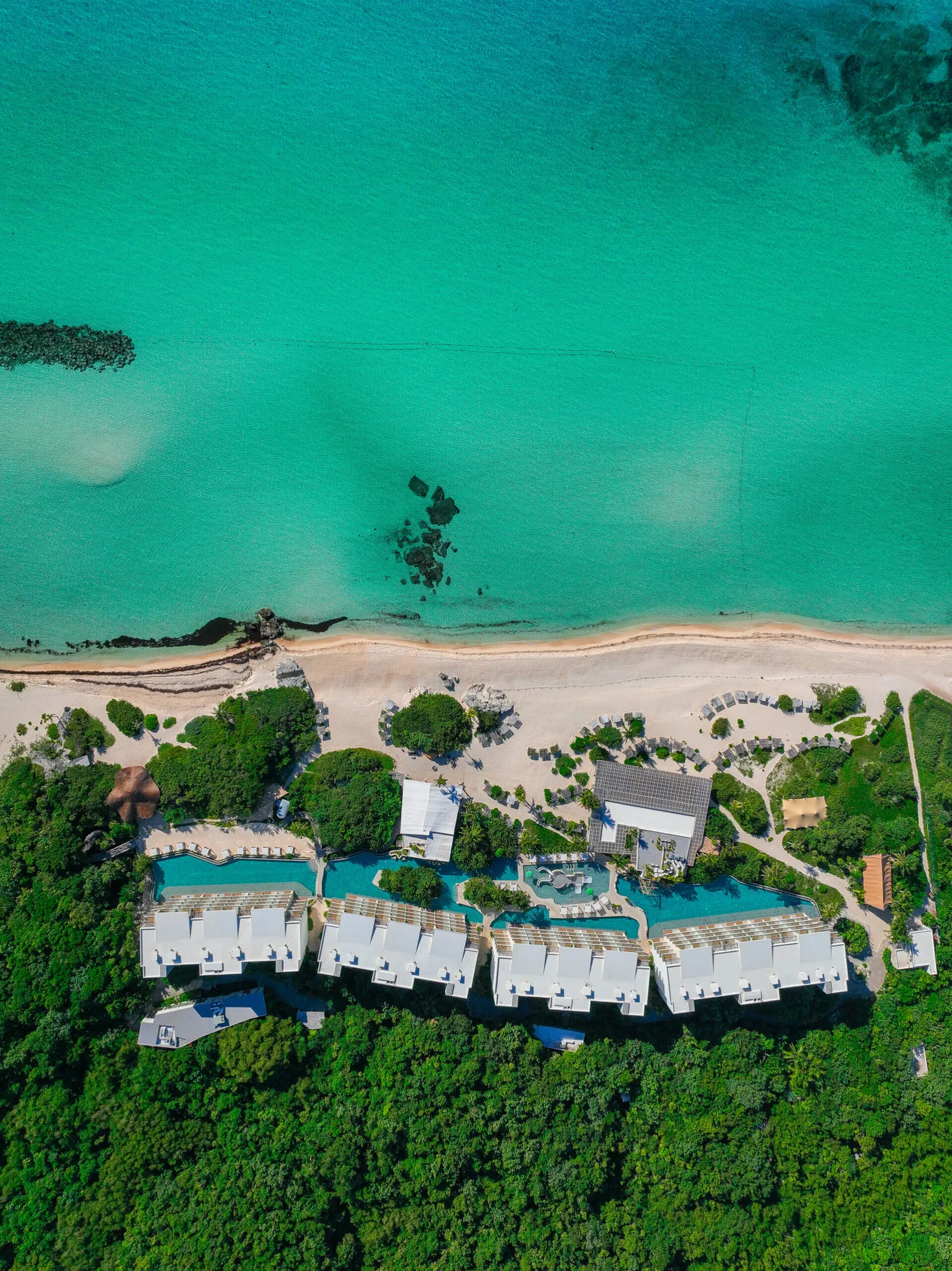 Palmaia – The House of AiA, Playa del Carmen