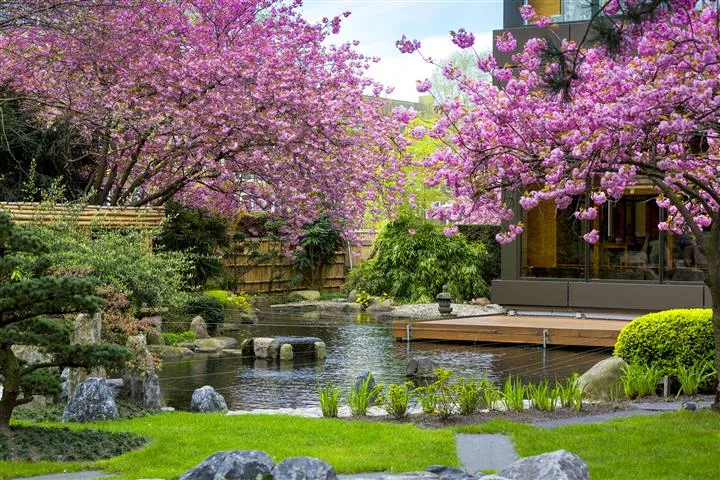 Hotel Okura Amsterdam — Exterior, Amsterdam