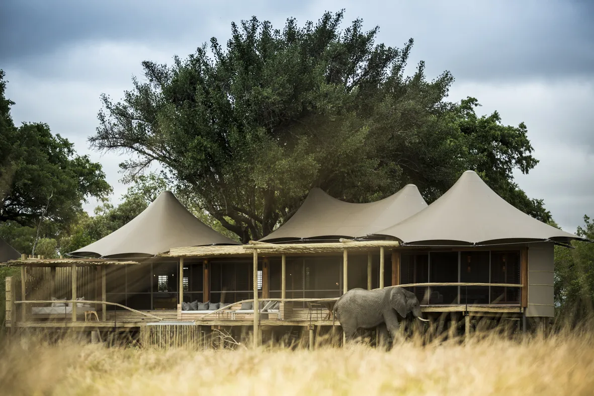 Mombo Camp, Okavango Delta