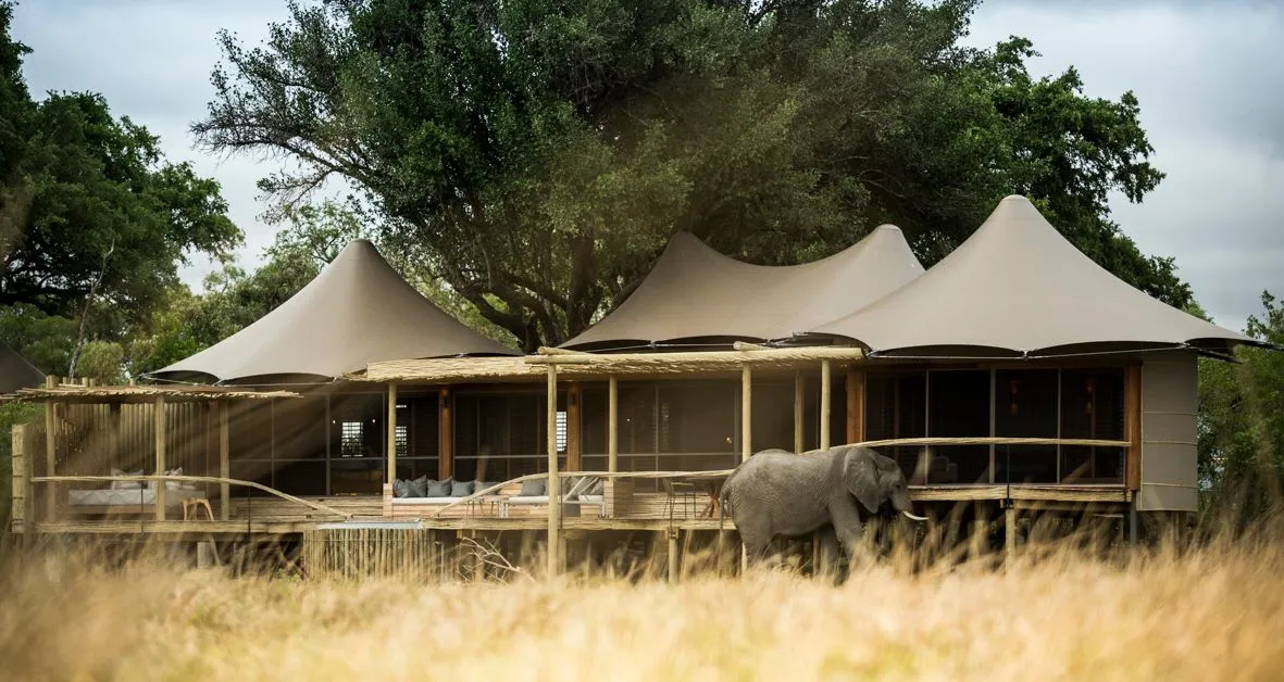 Mombo Camp, Okavango Delta