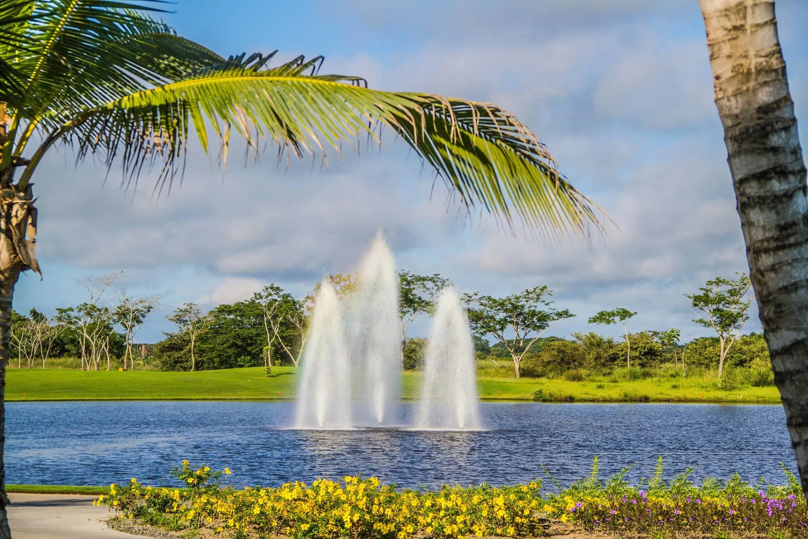 The Buenaventura Golf & Beach Resort — Exterior, El Chiru