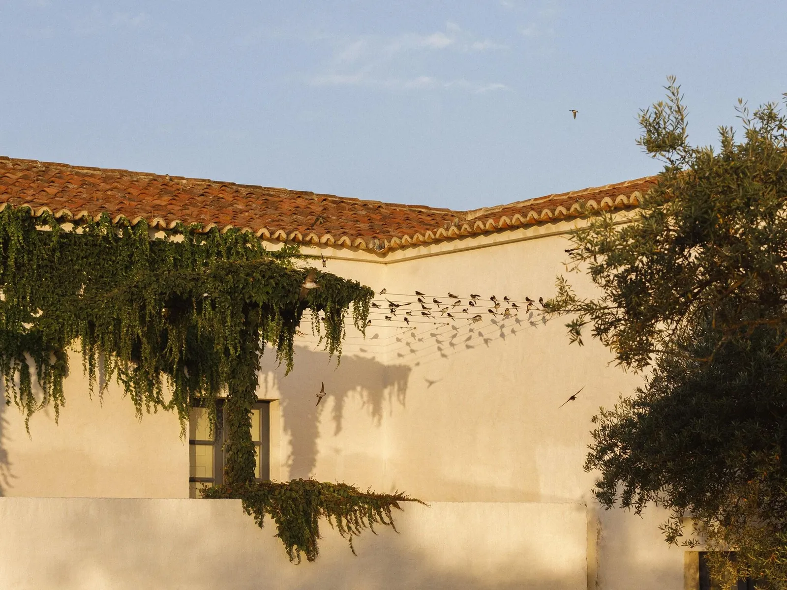 São Lourenço do Barrocal — Exterior, Reguengos de Monsaraz