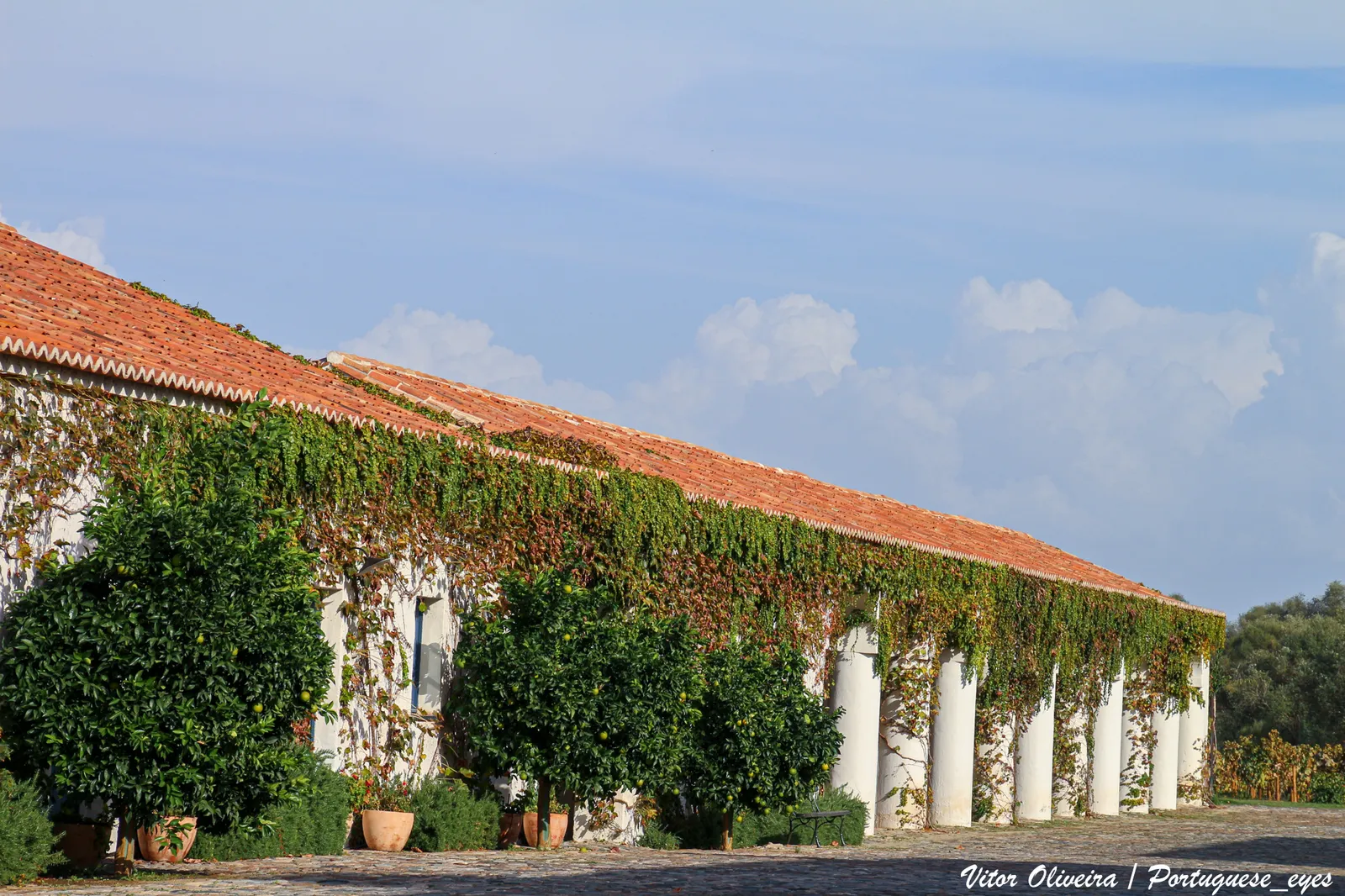 São Lourenço do Barrocal, Reguengos de Monsaraz