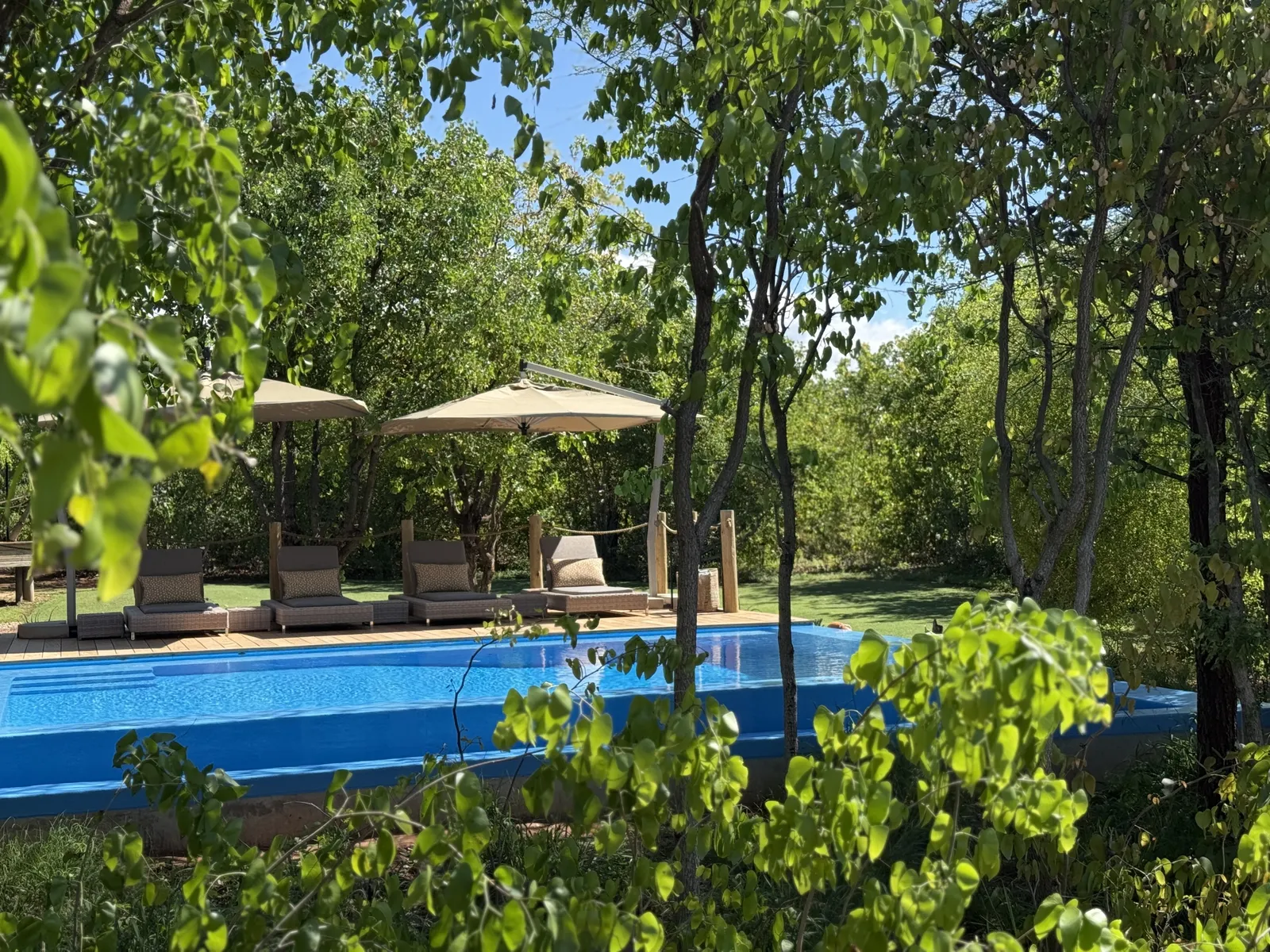Fothergill Island, Okavango Delta
