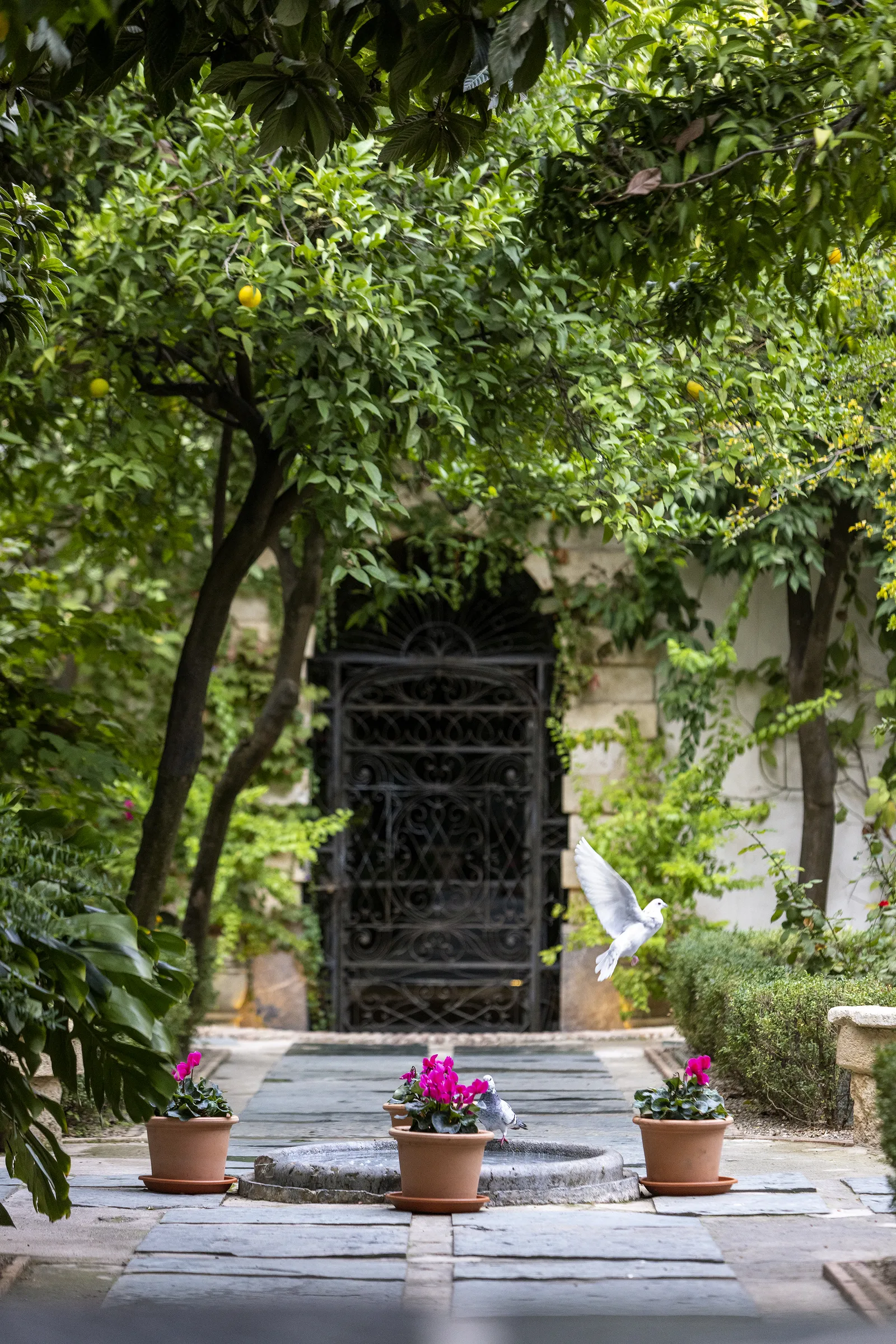 Hospes Palacio del Bailio — Exterior, Córdoba
