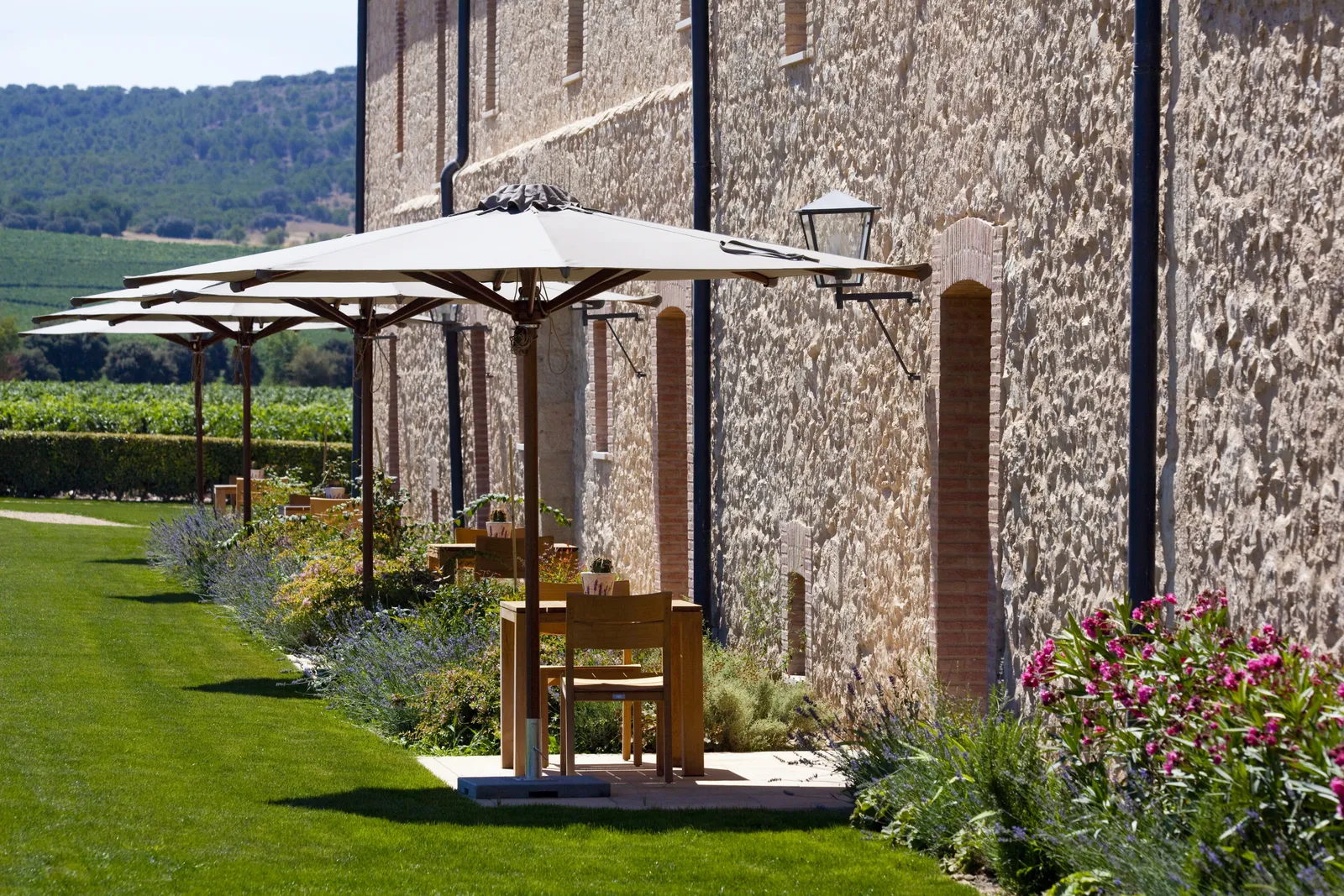 Abadia Retuerta LeDomaine — Exterior, Sardon de Duero