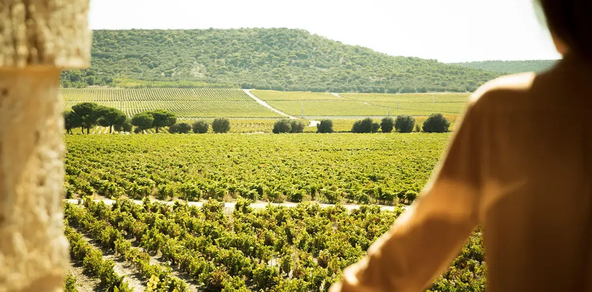 Abadia Retuerta LeDomaine, Sardon de Duero