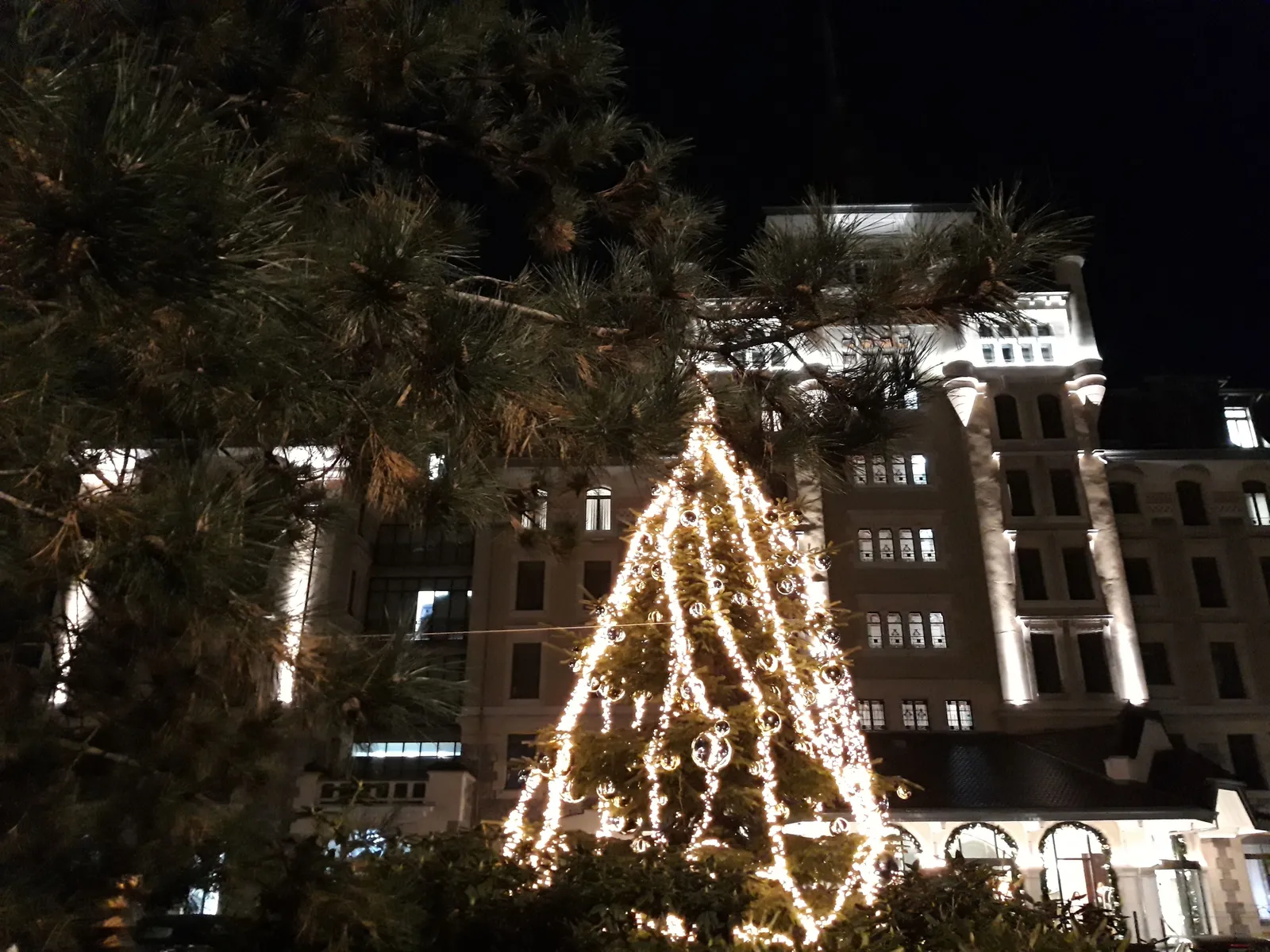 Royal Savoy Hotel & Spa Lausanne — Exterior, Lausanne