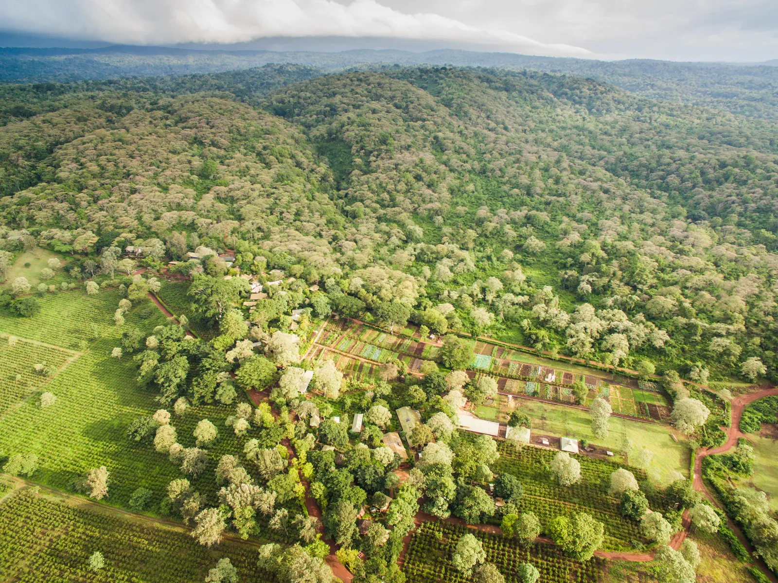 Gibb's Farm — Exterior, Karatu