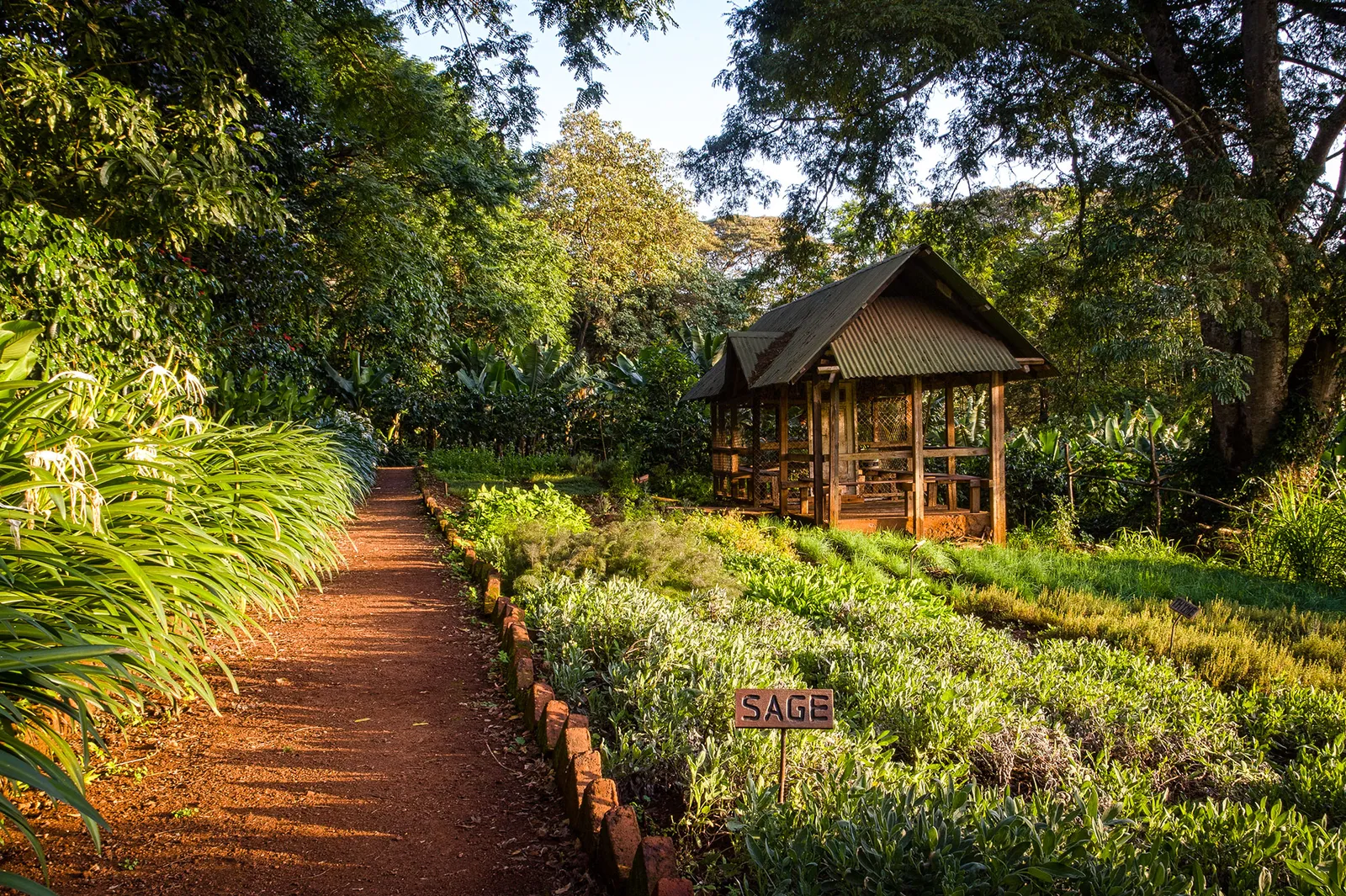Gibb's Farm — Exterior, Karatu