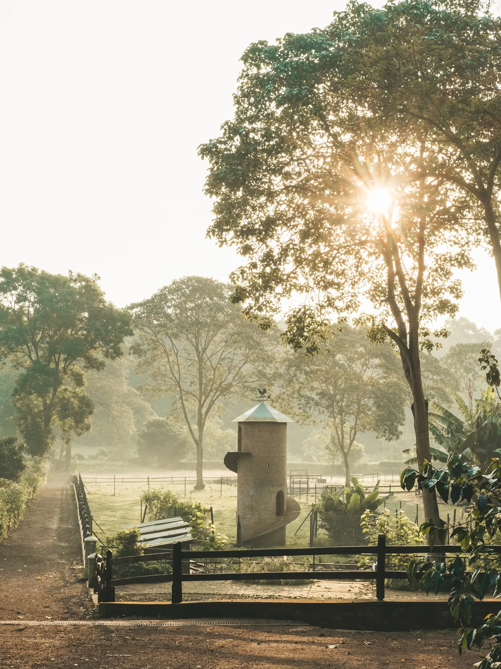 Gibb's Farm — Exterior, Karatu