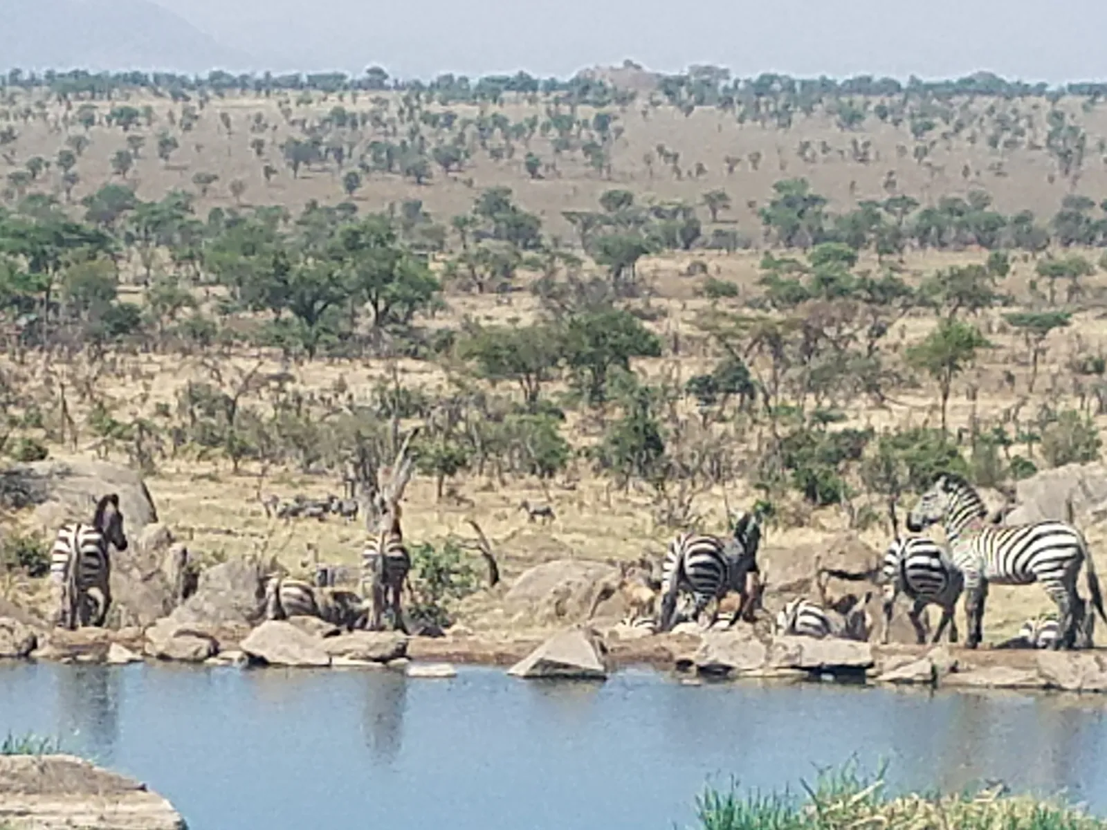 Four Seasons Safari Lodge Serengeti — Exterior, Serengeti