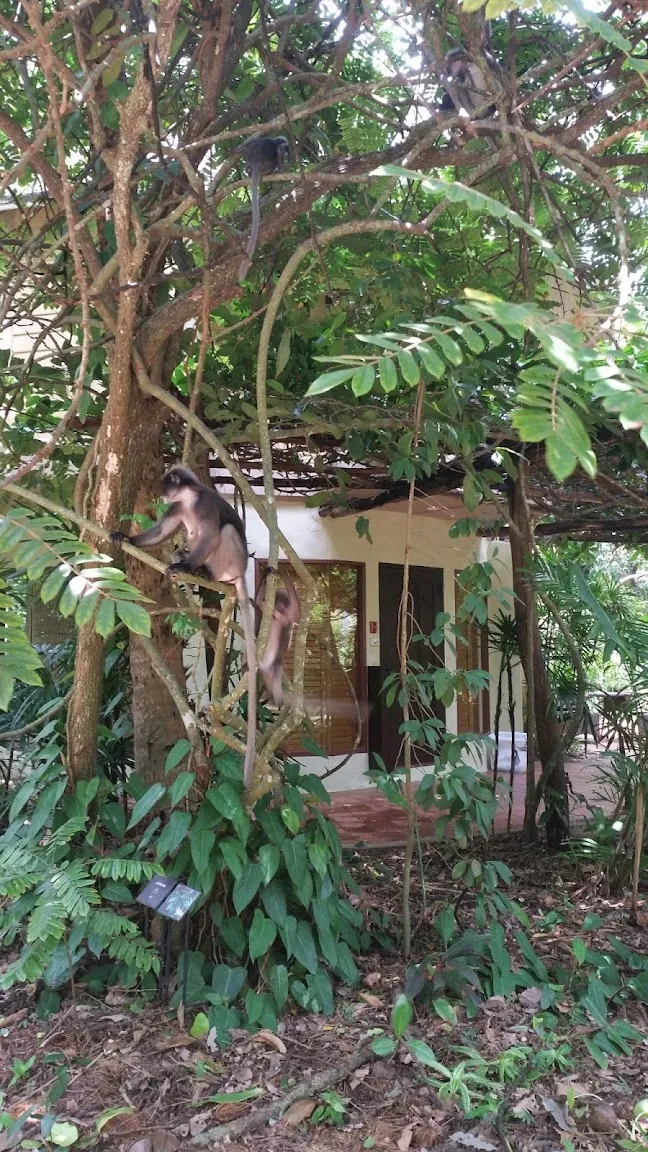 Rayavadee Krabi — Exterior, Krabi