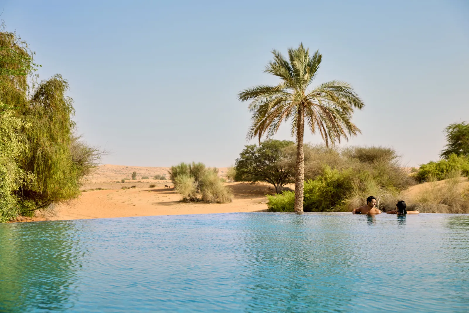 Al Maha, a Luxury Collection Desert Resort & Spa, Dubai, Murqquab