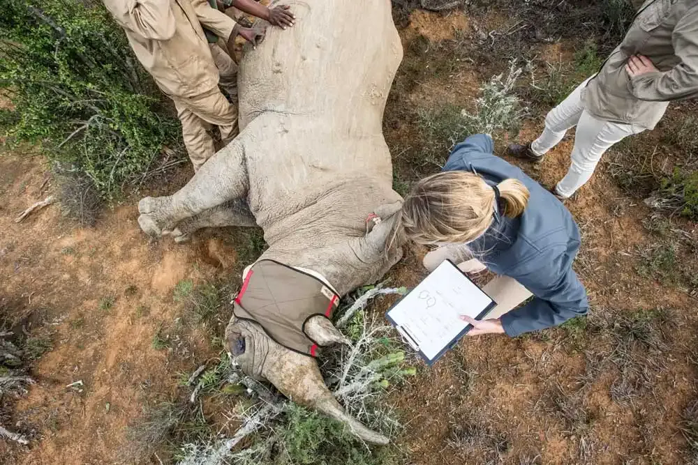 Kwandwe Great Fish River Lodge, Great Fish River