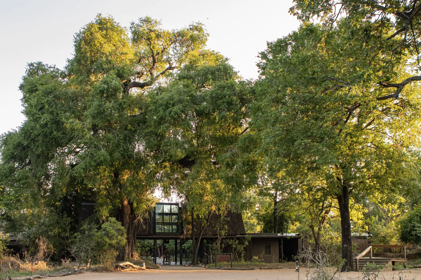 Lion Sands Game Reserve, Hazyview