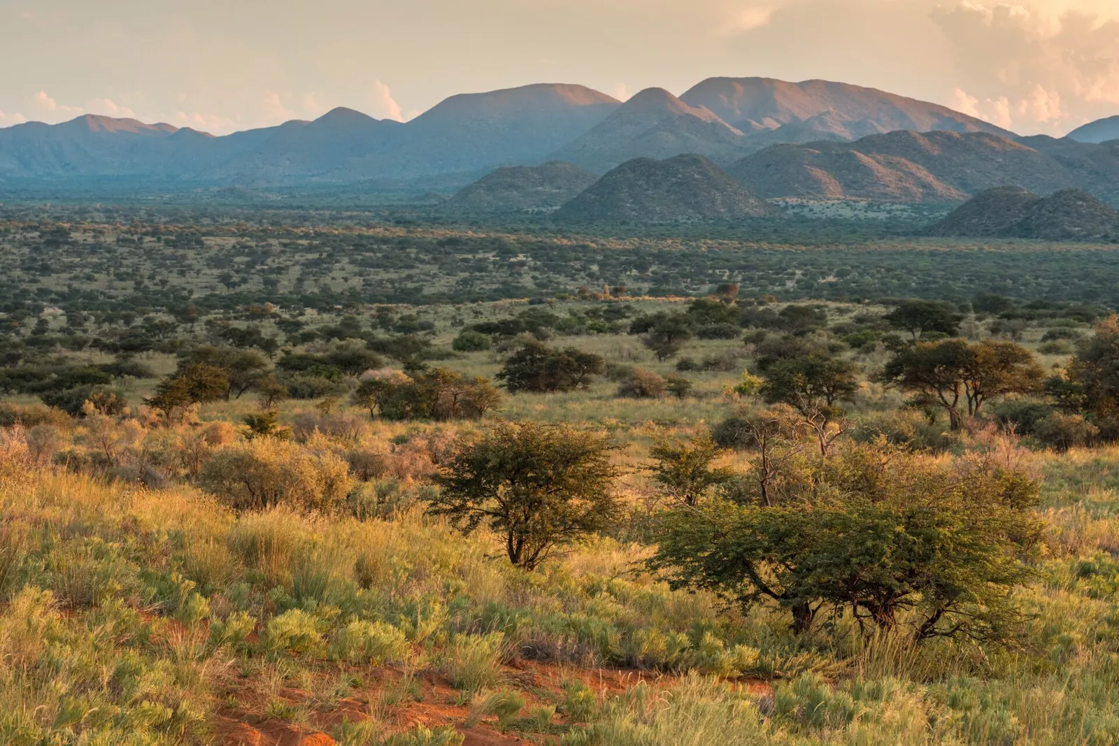 Tswalu, Kuruman