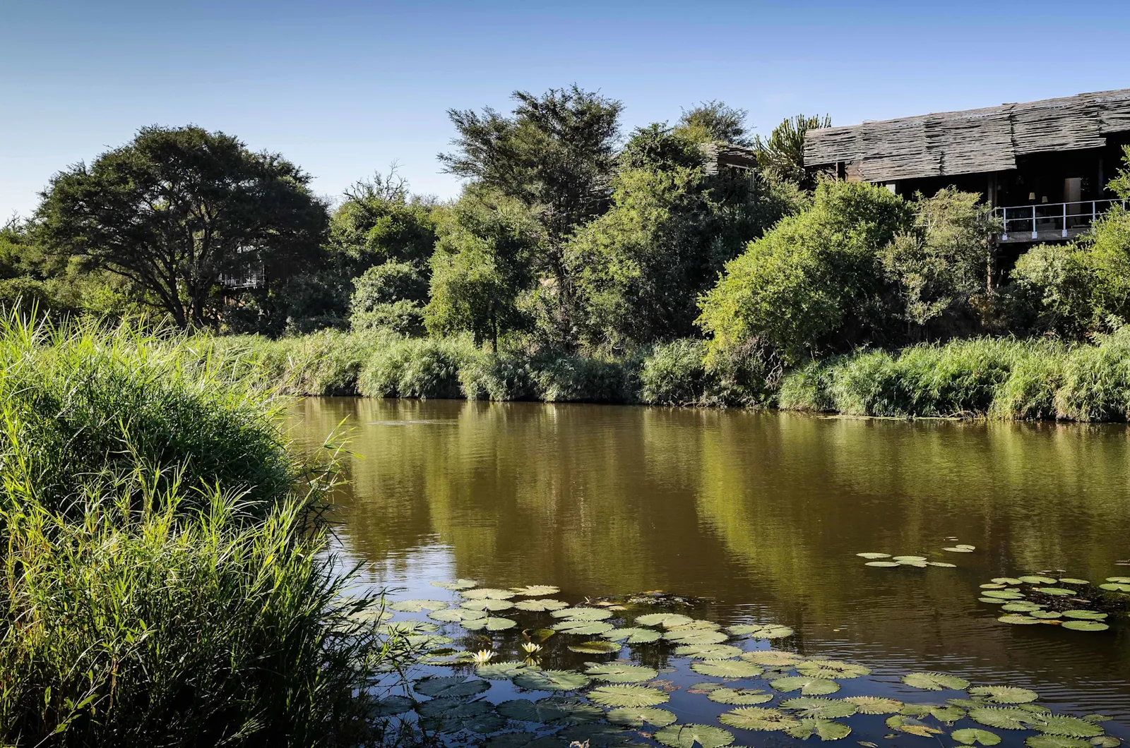 Singita Sweni Lodge, Sabi Sand Game Reserve