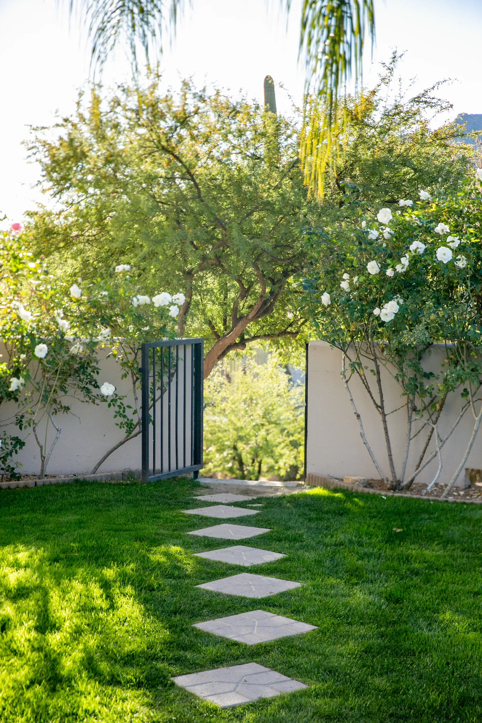 CIVANA Wellness Resort and Spa — Exterior, Carefree