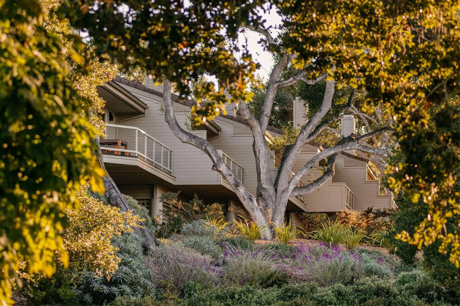 Carmel Valley Ranch — Exterior, Carmel-by-the-Sea