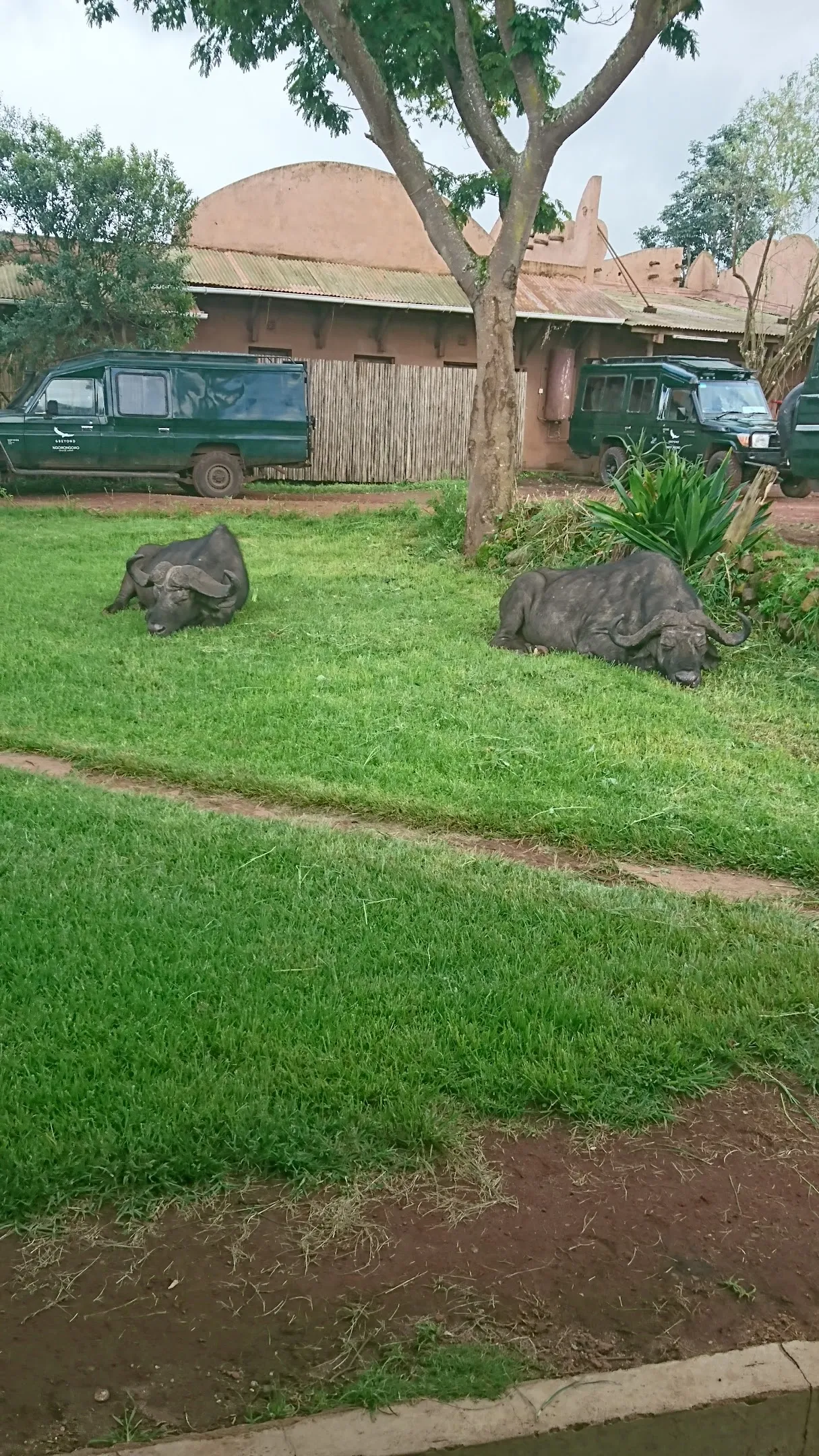 Crater Lodge — Exterior, Ngorongoro Crater