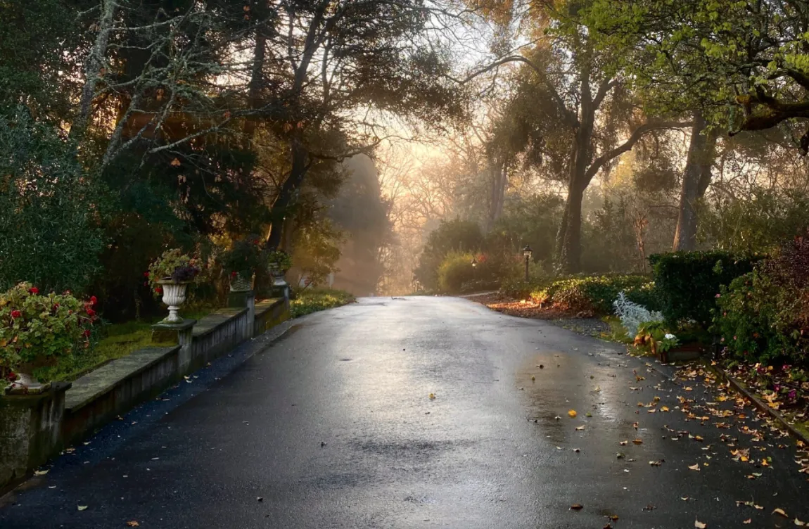 The Madrona, Healdsburg