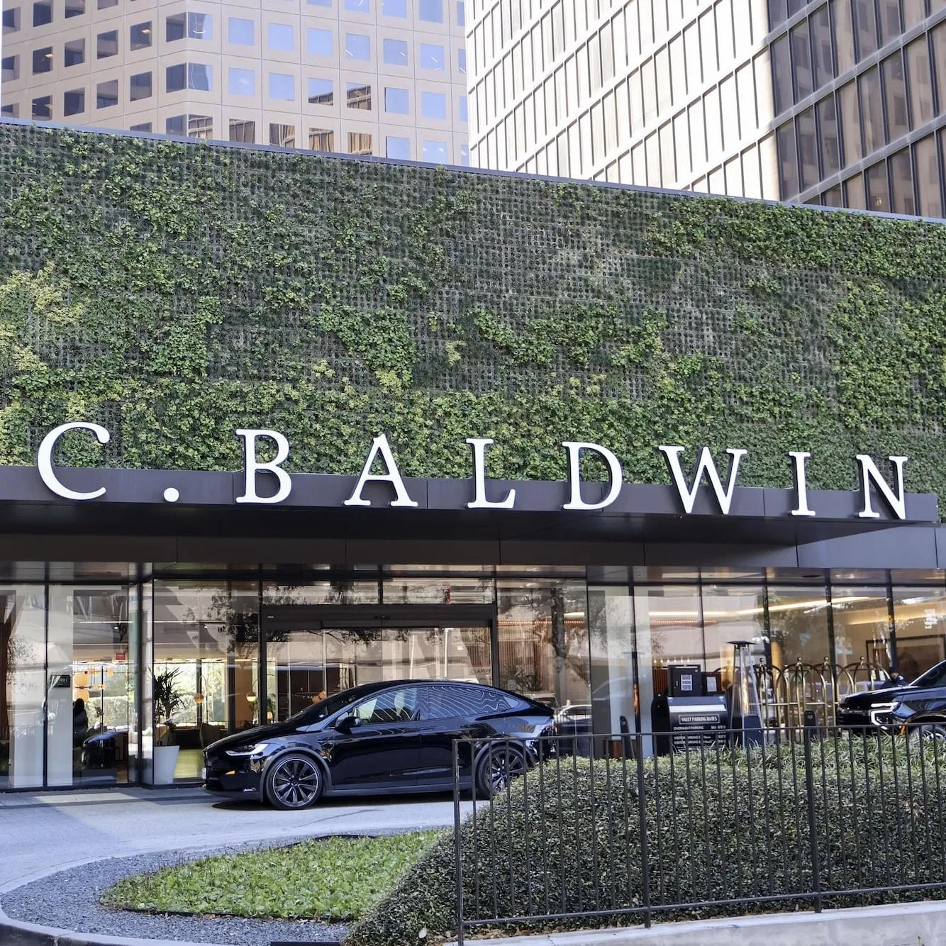 C. Baldwin, Curio Collection by Hilton, Houston