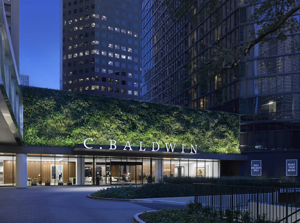 C. Baldwin, Curio Collection by Hilton, Houston