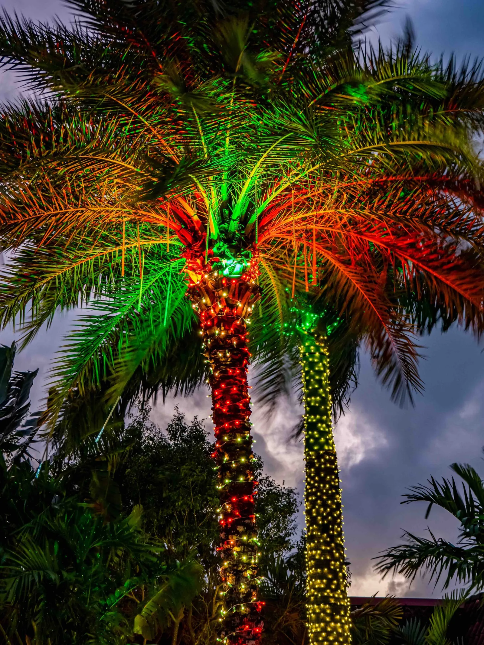 Jupiter Beach Resort & Spa, Jupiter