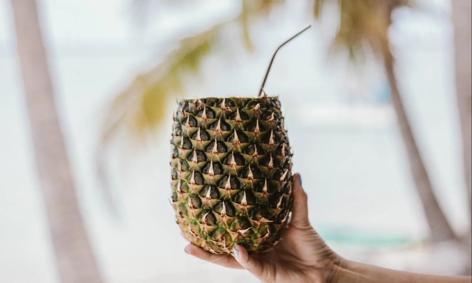 Baker's Cay Resort Key Largo, Curio Collection by Hilton, Key Largo