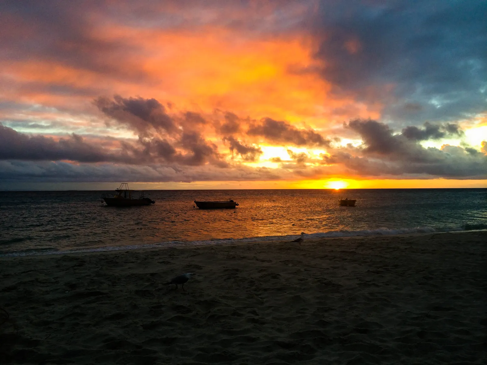 Lizard Island, Cairns