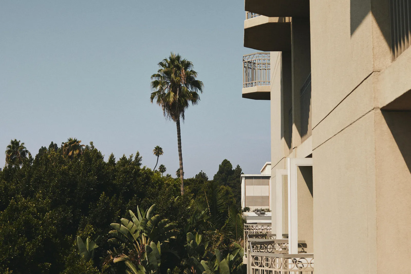 L'Ermitage Beverly Hills — Exterior, Beverly Hills