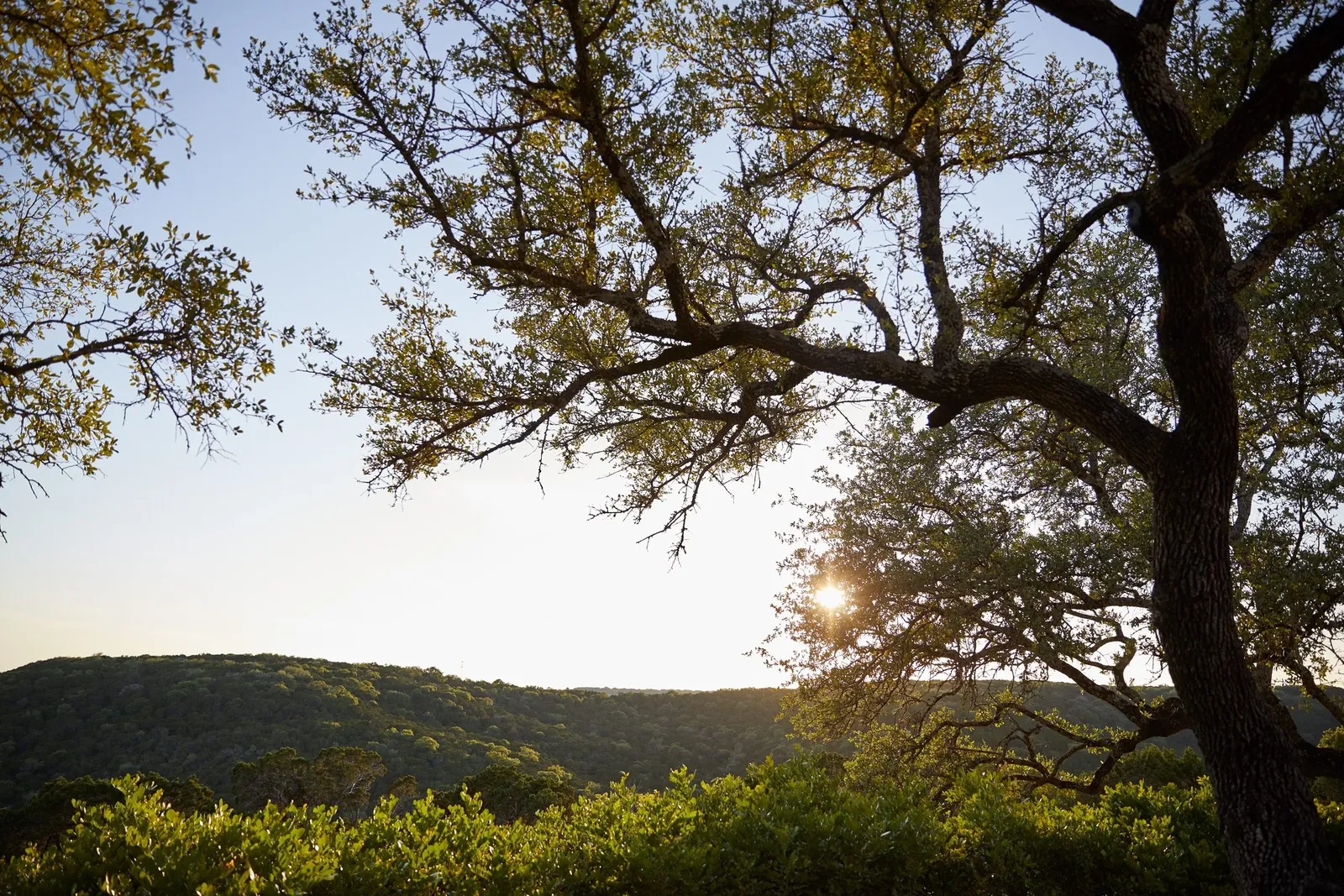 Miraval Austin, Leander