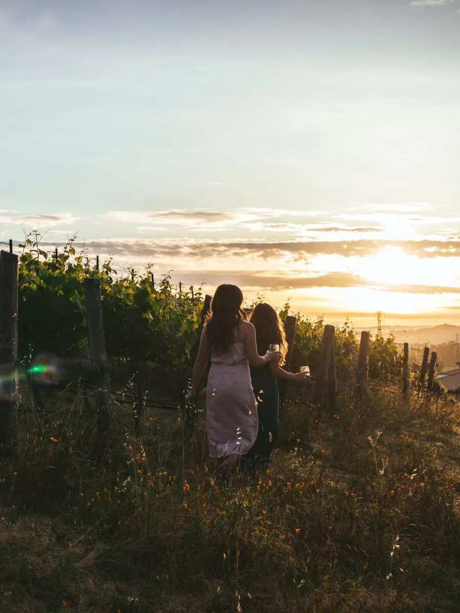 The Meritage Resort & Spa, Napa