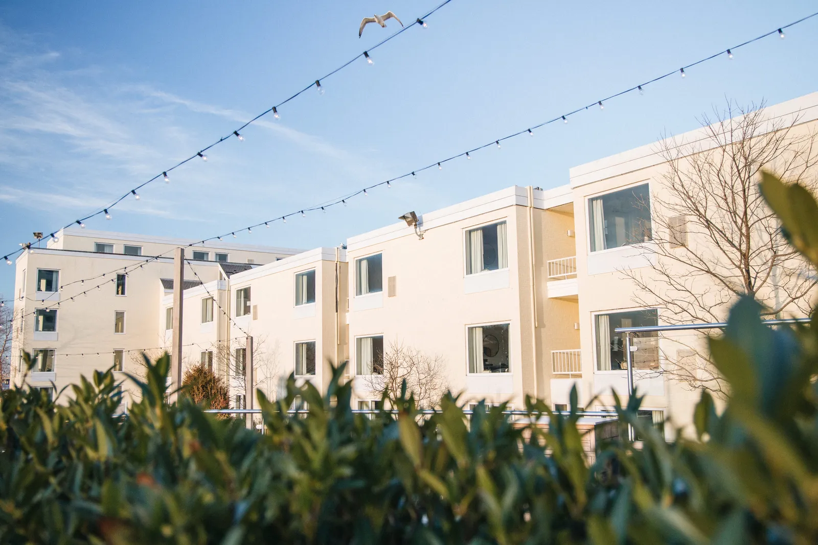 Newport Harbor Island Resort — Exterior, Newport