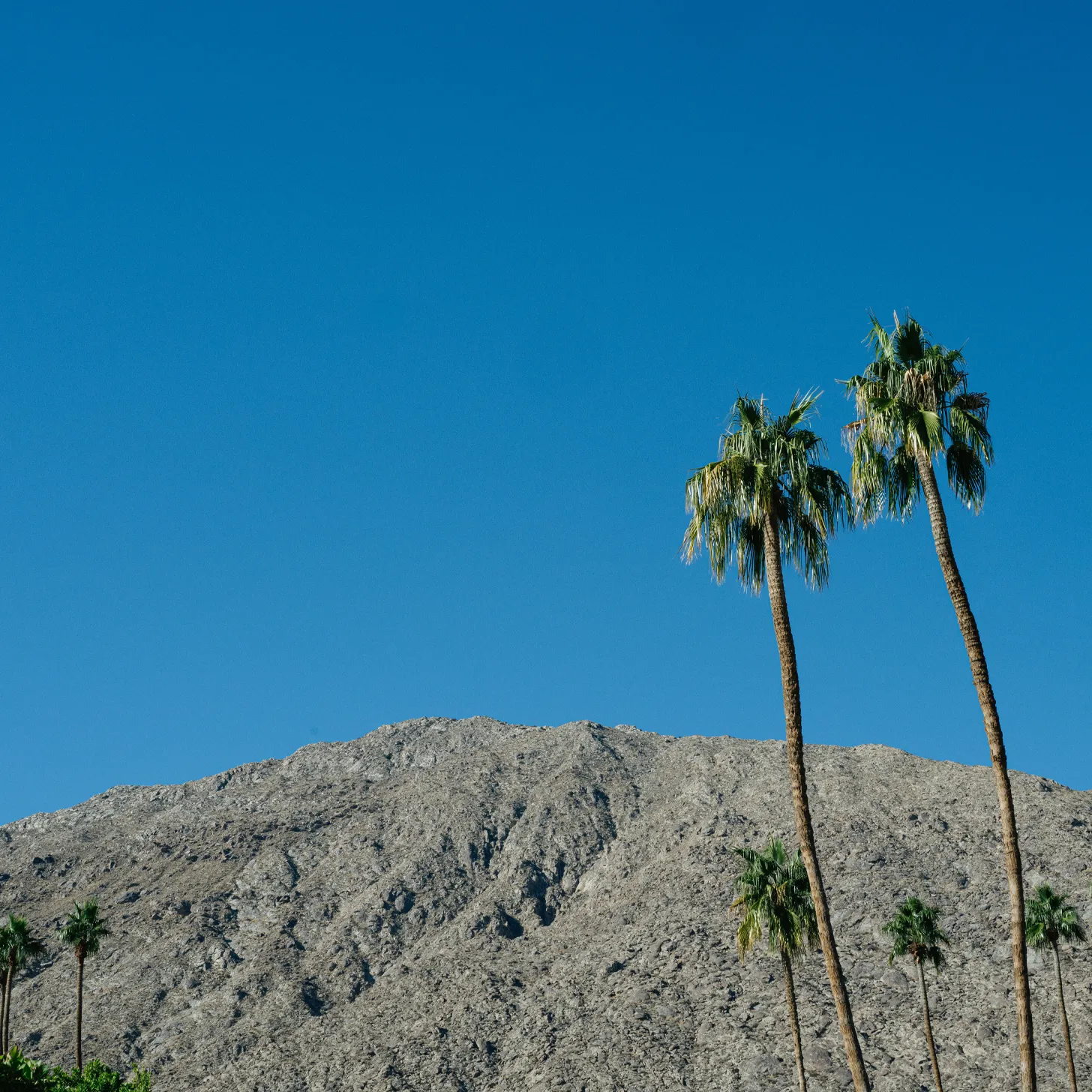 Avalon Palm Springs, Palm Springs