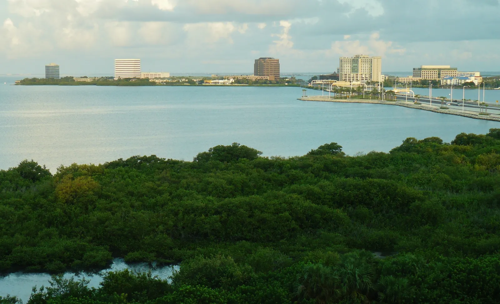 Grand Hyatt Tampa Bay, Tampa