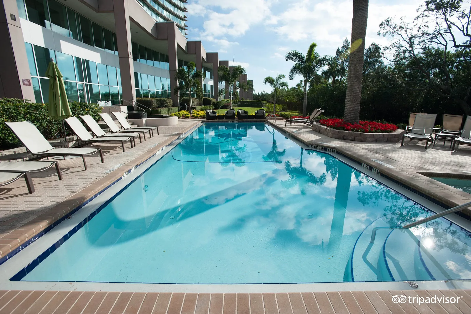 Grand Hyatt Tampa Bay — Exterior, Tampa