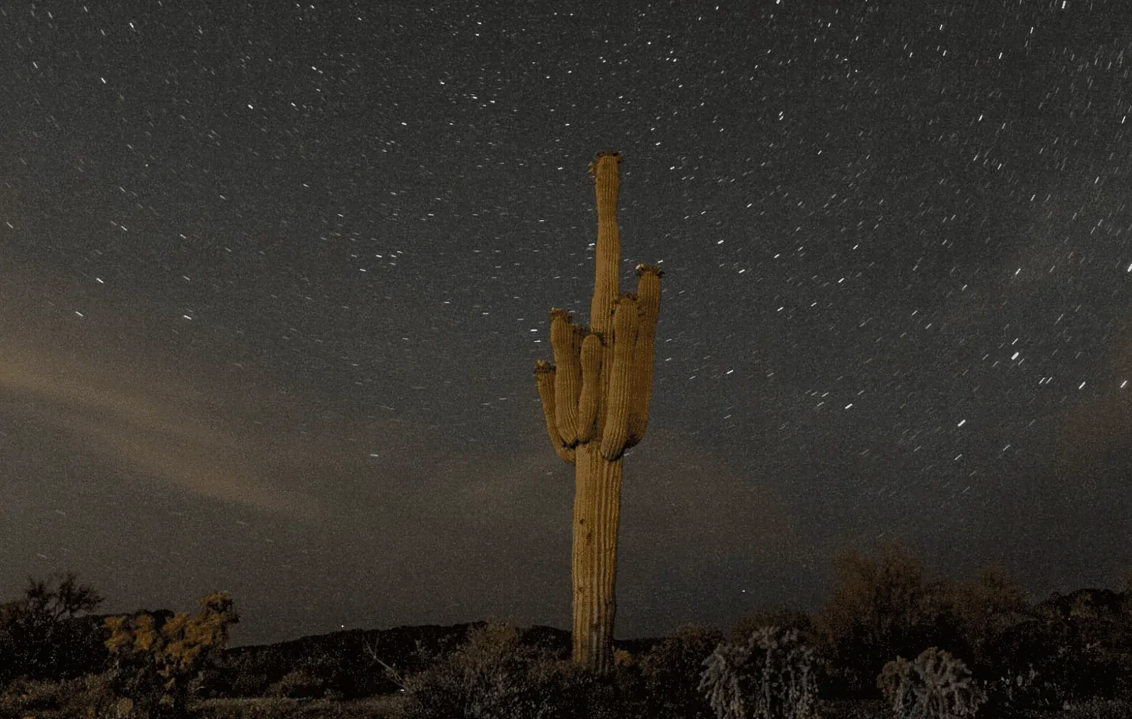 Miraval Arizona, Tucson