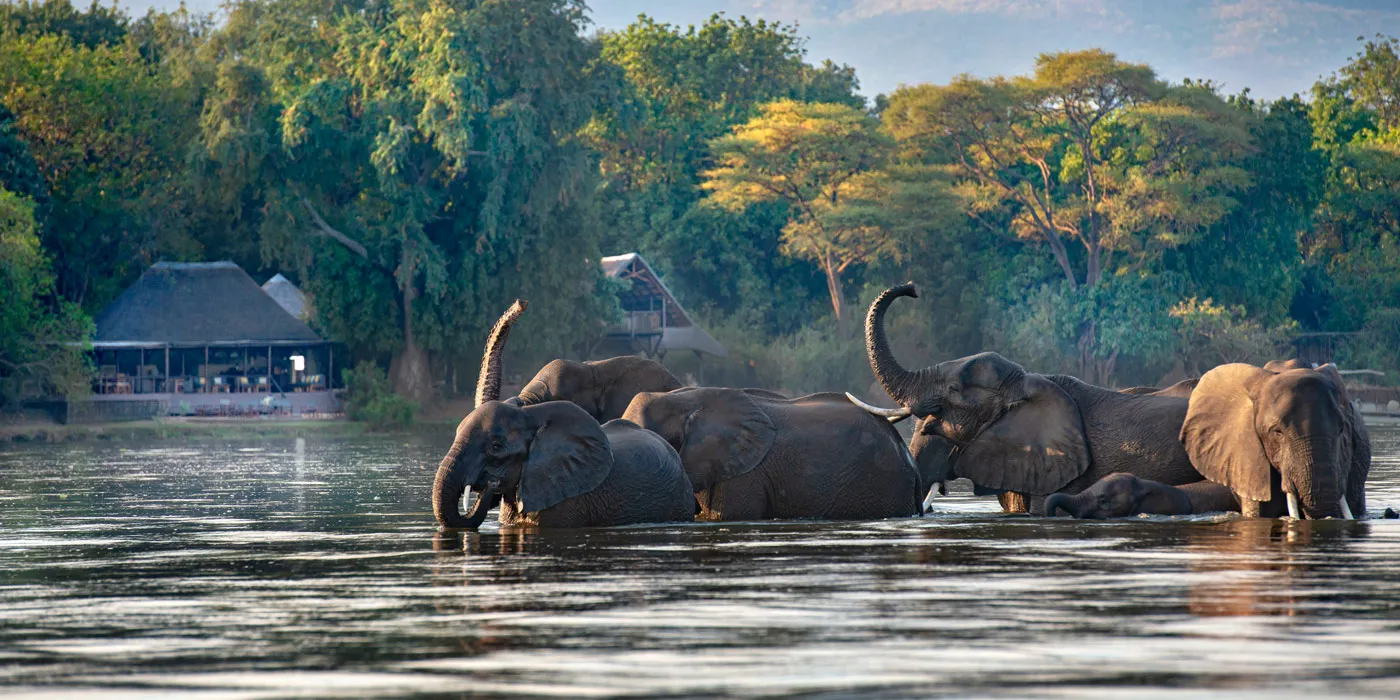 Chiawa Camp, Lower Zambezi National Park