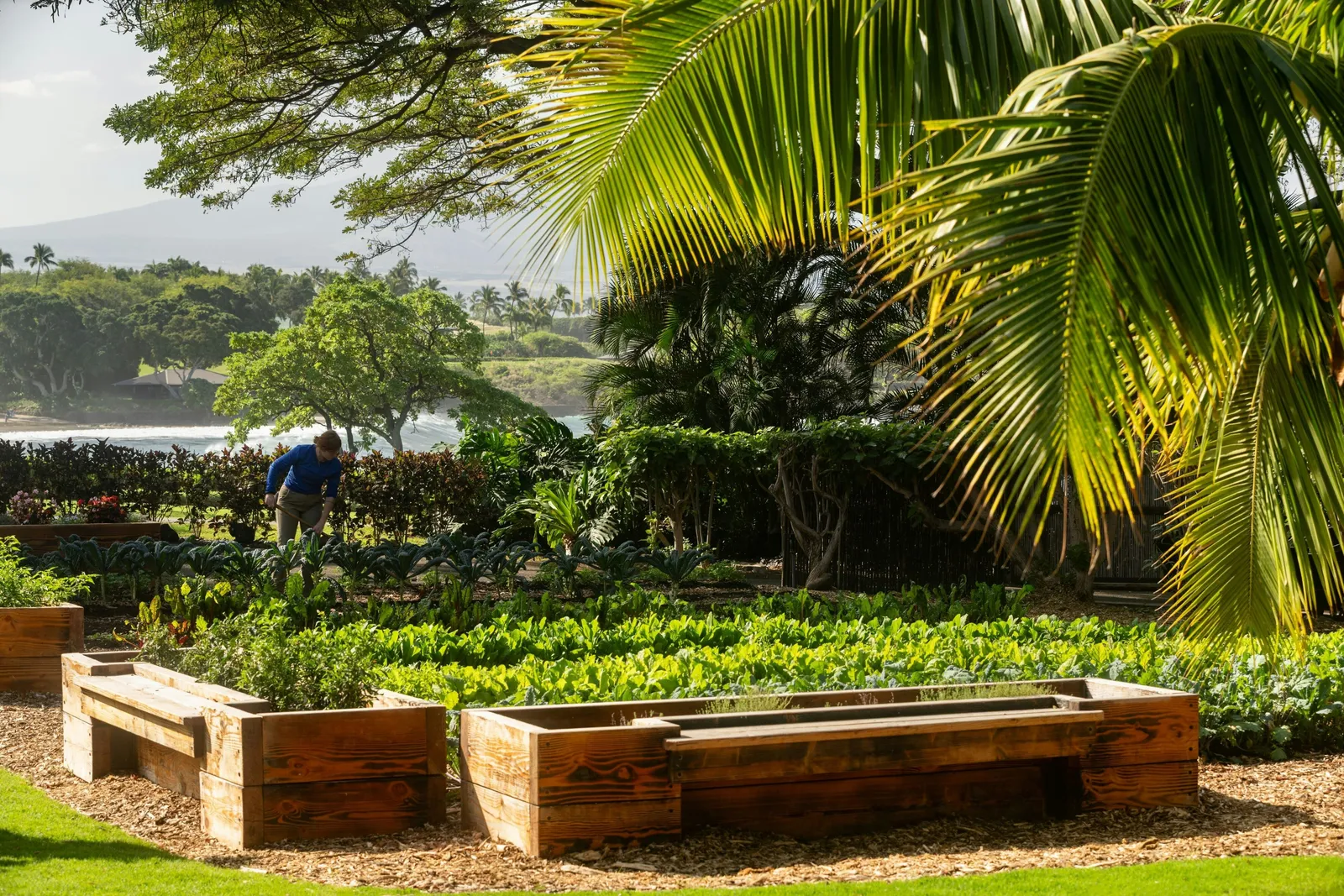 Mauna Kea Beach Hotel, Autograph Collection — Exterior, Waimea